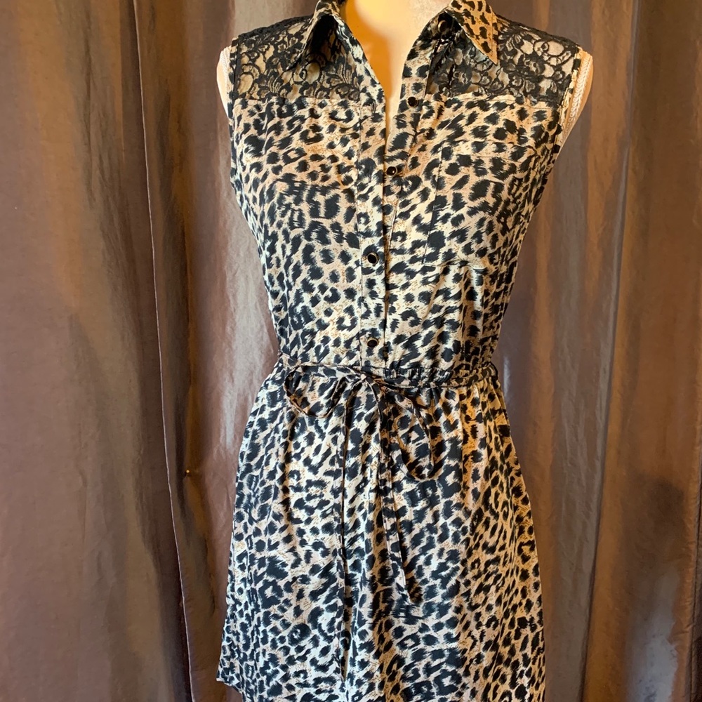 Leopard & lace dress - Picture 1 of 7